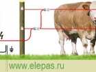 Электропастух для крс коров 